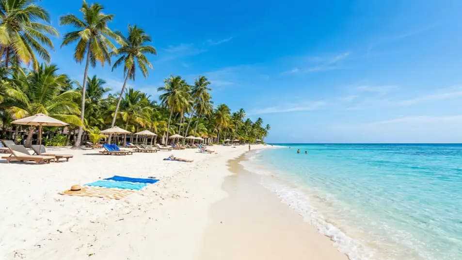 Webseiten & Landingpages Preset Vorschau